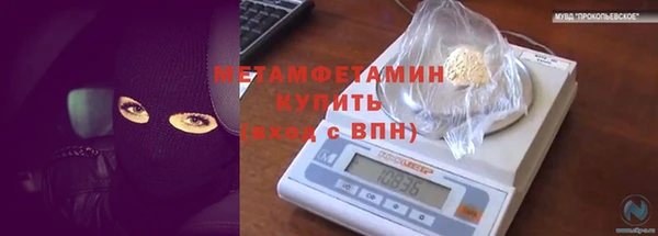 сатива Нефтекумск