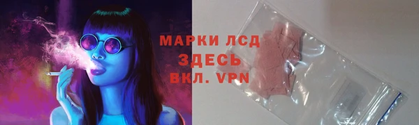 сатива Нефтекумск