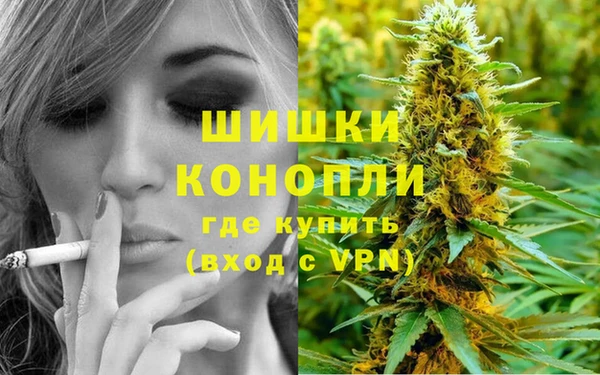 сатива Нефтекумск
