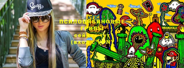 сатива Нефтекумск