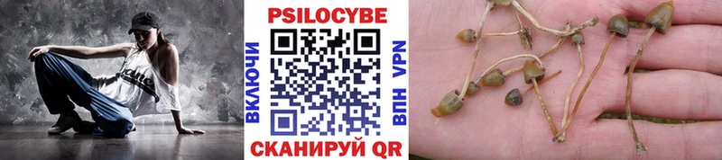 Псилоцибиновые грибы прущие грибы  наркота  Мостовской 